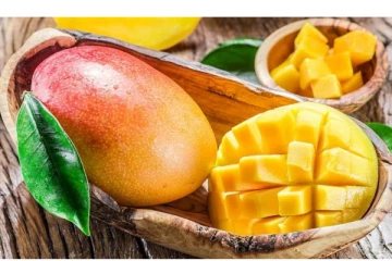 மாம்பழம் சாப்பிட்ட பின்பு இந்த உணவுகளை எல்லாம் சாப்பிடாதீங்க! உடல் உபாதைகளை ஏற்படுத்தலாம்