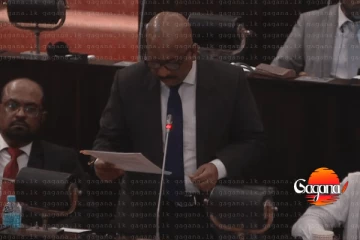 පාසල් ක්‍රිකට් නංවන්න ක්‍රිකට් ආයතනයෙන් සුභ ආරංචියක්