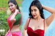 சமூக வலைத்தாளங்களில் ஆபாசம்; பிரபல நடிகைக்கு பொலிஸார் வலைவீச்சு!