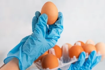 முட்டையில் நோய்க்கிருமிகள்: அமெரிக்காவில் 95 பேர் உடல் நலம் பாதிப்பு