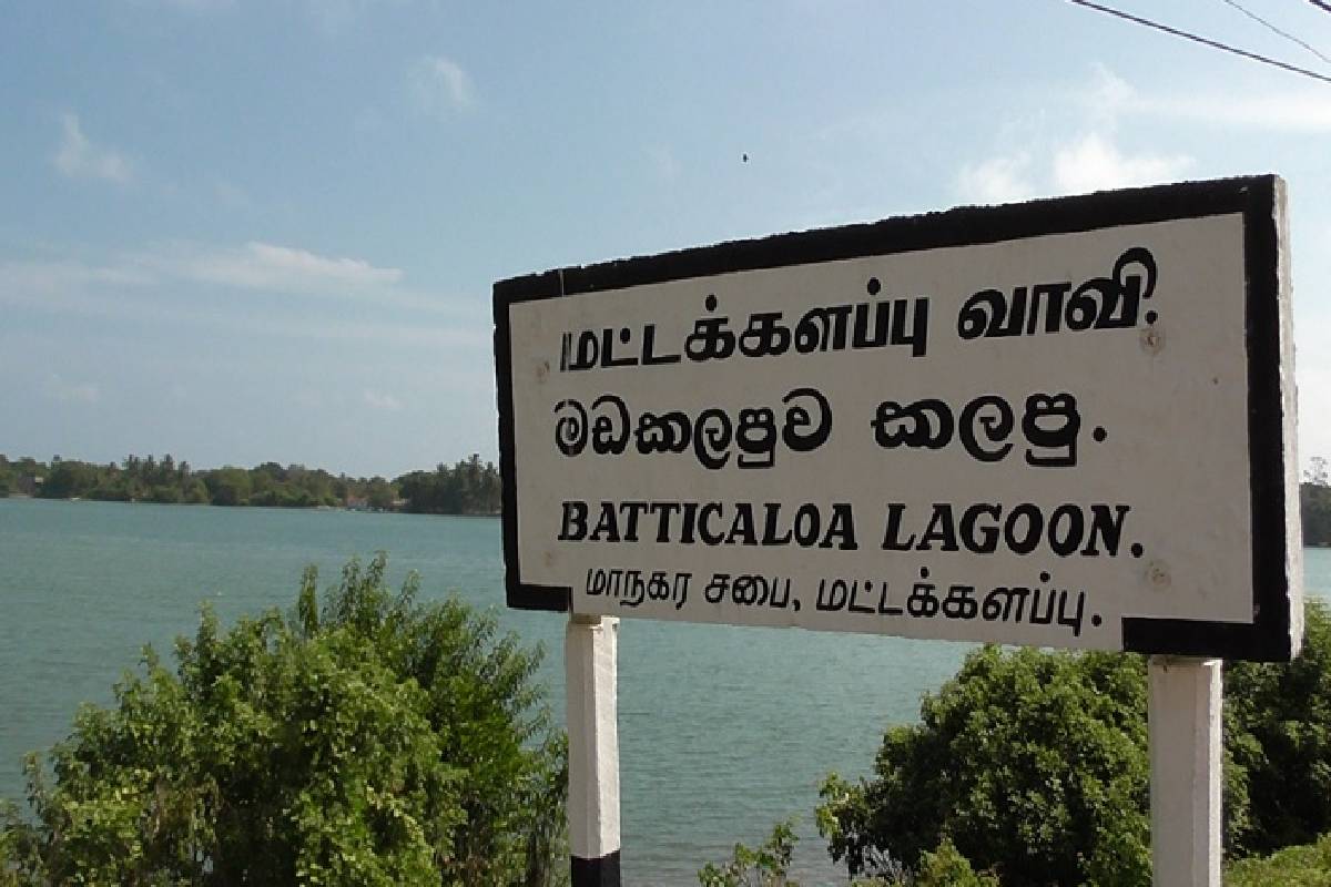 தமிழர்பகுதி வாவியில் மிதந்த மர்ம உடல்கள் ; கொலையா? தற்கொலையா? | Mysterious Bodies Found Floating In Lake Police