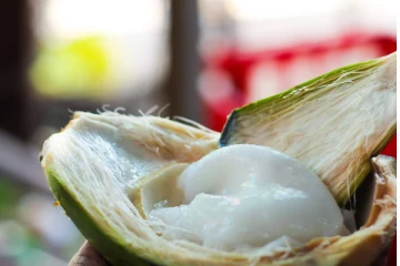 சிறுநீரகப் பிரச்சினைகளை நெருங்க விடாமல் தடுக்கும் இளநீர் சூப்...5 நொடியில் ரெடி