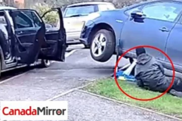 லண்டனில் கார்களை குறிவைக்கும் பெரும் கும்பல்; எதற்காக தெரியுமா?