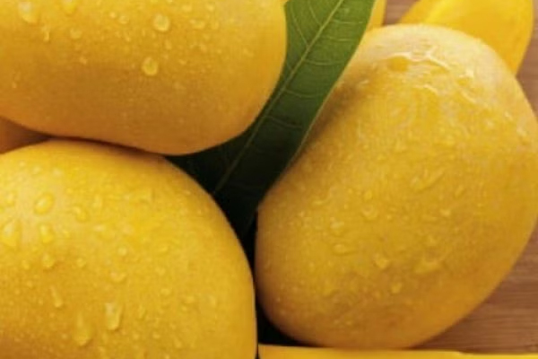 பற்களின் பிரச்னையை போக்கும் சிறந்த பழம் | Best Fruit To Cure Tooth Problems