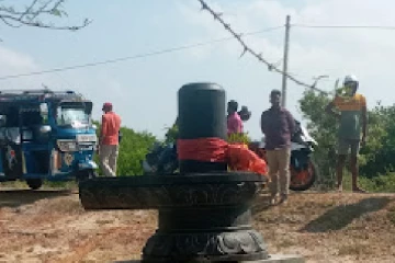 யாழில் திடீரென தோன்றிய சிவலிங்கம்!(Photos)