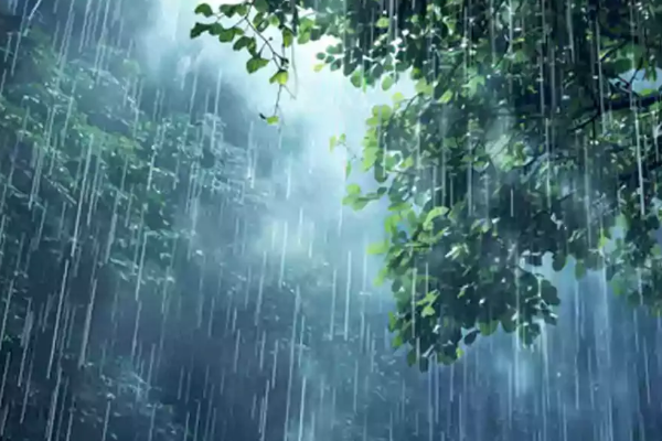 அடுத்த 36 மணித்தியாலங்களில் நாட்டில் மழை பெய்யும் வாய்ப்பு! | Weather Forecast For The Next 36 Hours