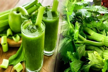 செலரி ஜூஸ் குடித்தால் இந்த நோய் எட்டிக் கூட பார்க்காதாம்: கட்டாயம் தெரிஞ்சிக்கோங்க