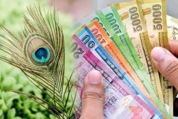 மயில் இறகு வைத்து இதை செய்தால் போதும் - வீட்டில் பணமழை கொட்டும்,உலகம் உங்கள் காலடியில் இருக்கும்