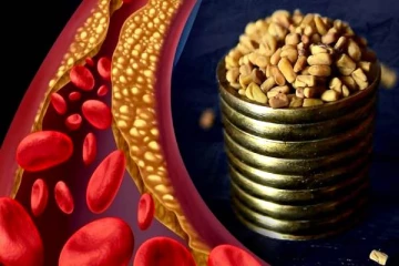 கொழுப்பைக் குறைக்கும் வெந்தயம்.. இப்படி சாப்பிடுங்க- மருத்துவர் விளக்கம்