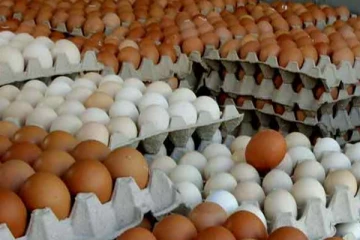 බිත්තර ලක්ශයක් විසි කරයි..?