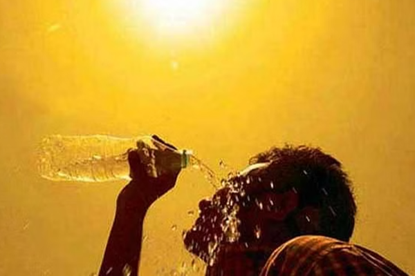 இருதய நோய் அபாயம் - இலங்கை மக்களுக்கு விடுக்கப்பட்டுள்ள முக்கிய எச்சரிக்கை! | Heart Disease Warning To Sri Lanka Peoples