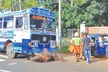 தனியார் பேருந்து மோதி இரண்டு பிள்ளைகளின் தந்தை பலி