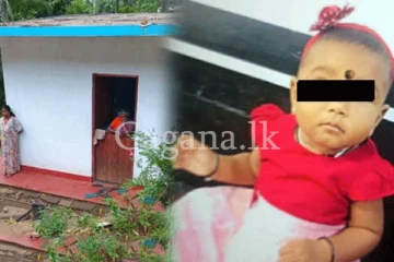 අවාසනාවන්ත ලෙස සිඟිත්තිය මරු තුරුලට යැවූ පොල් ගෙඩිය.