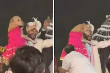 நாயுடன் நடனமாடிய மணமகன்; வைரலாகும் காணொளி