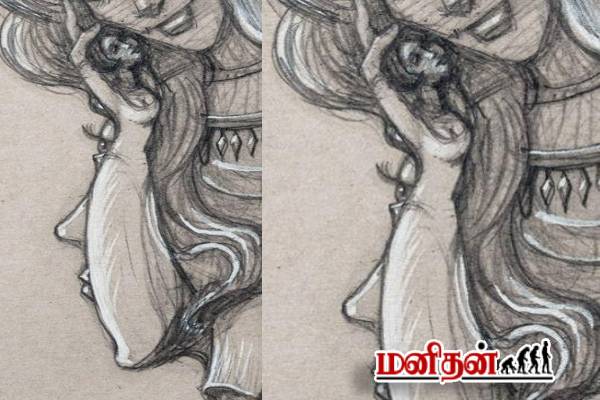 படத்தில் தெரிவது என்ன? literal-illusion-reveals