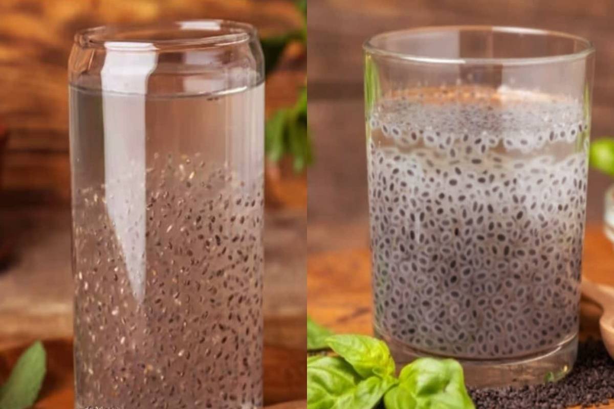 கோடை காலத்தில் சியா விதைகள் தண்ணீரை குடித்தால் என்ன பயன்? | Drink Chia Seed Water In Summer Benefits Right Way