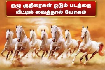 வீட்டில் 7 குதிரைகள் படம் வைக்கும் முன் கட்டாயம் தெரிந்து கொள்ள வேண்டியவை