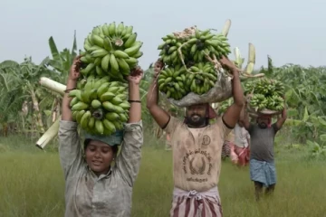 7 நாட்களில் வாழை திரைப்படம் செய்துள்ள வசூல்.. எவ்வளவு தெரியுமா
