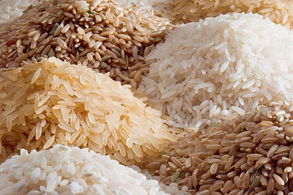 அரசாங்க கட்டுப்பாட்டு விலையில் நாளை முதல் அரிசி விநியோகம் | Rice Distribution From Tomorrow At Government