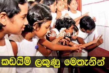 5 වසර ශිෂ්‍යත්ව විභාගයේ පාසල් කඩයිම් ලකුණු නිකුත් කරයි..සියලු විස්තර මෙතනින් දැනගන්න..