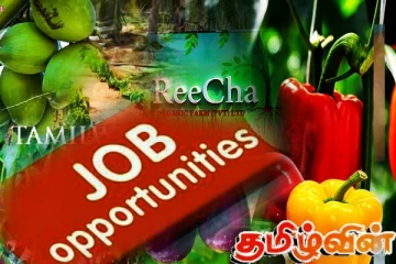 தமிழர் பகுதியில் உடனடி வேலைவாய்ப்பு! இன்றே விரைந்திடுங்கள்