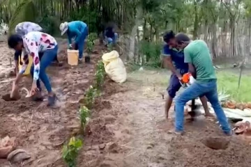 கிளிநொச்சி பகுதியில் ஆயிரக்கணக்கான கருவா மரங்கள்! புலம்பெயர் தமிழரின் புதிய முயற்சி (Video)