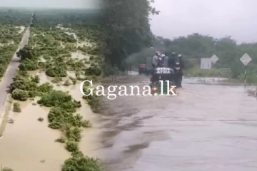 මඩකළපුව - පොළොන්නරුව ප්‍රධාන මාර්ගය යළි වසා දමයි. - (VIDEO)