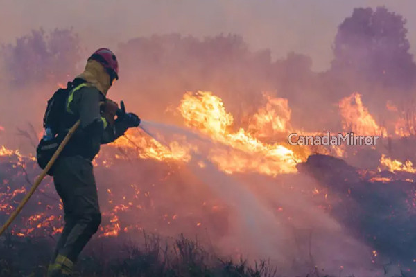 சிலியில் காட்டுத்தீ விபத்து: 10 பேர் உயிரிழப்பு | Wildfires In Chile 10 Dead