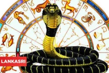 கால சர்ப்ப தோஷம் ஏற்பட காரணம் என்ன? இதற்கு என்ன பரிகாரங்கள் செய்யலாம்?