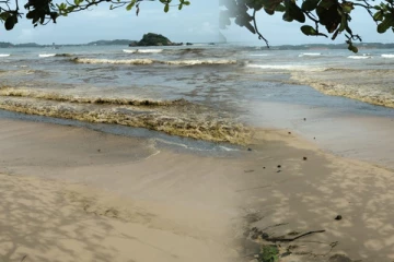 தென்னிலங்கையில் திடீரென நிறம் மாறிய கடல் அலை: அச்சமடைந்த மக்கள்