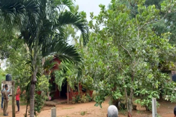 மனைவியை கொலை செய்து விட்டு பொலிஸில் சரணடைந்த கணவன்