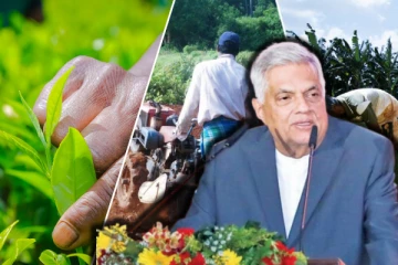 நாட்டின் நிலைத் தன்மைக்கு விவசாயிகளே மிக முக்கிய காரணம்: ரணில் புகழாரம்!