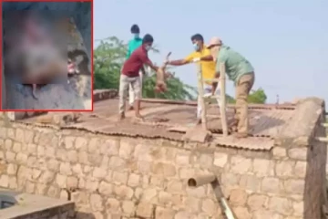 குடிநீர் தொட்டியில் துர்நாற்றம்; திறந்து பார்த்து அதிர்ந்த அதிகாரிகள் - அதிர்ச்சி சம்பவம்!