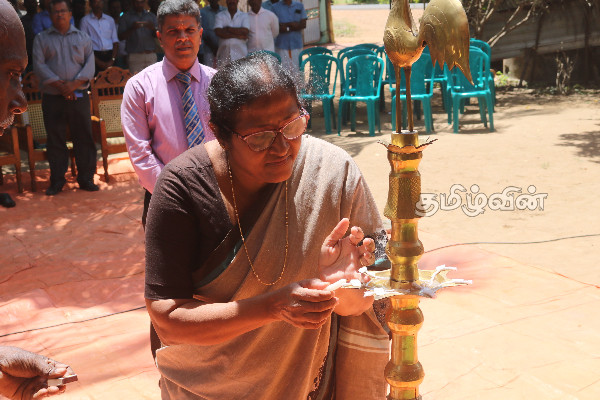 கிளிநொச்சியில் ஆரம்பமான சிறுபோக அறுவடை விழா | Harvest Festival Started In Kilinochchi