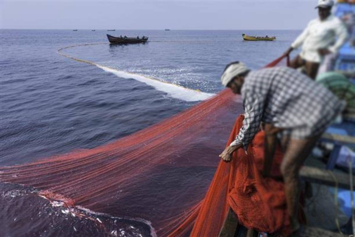 தமிழக முதல்வரிடம் யாழ் கடற்றொழிலாளர் அமைப்பு விடுத்துள்ள கோரிக்கை! | Jaffna Fishermen S Request To The Tamil Nadu Cm தமிழக முதல்வரிடம் யாழ் கடற்றொழிலாளர் அமைப்பு விடுத்துள்ள கோரிக்கை! | Jaffna Fishermen S Request To The Tamil Nadu Cm