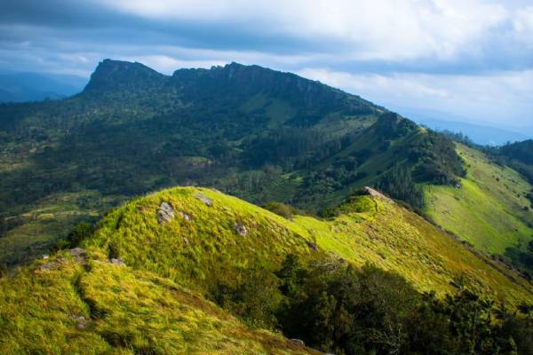 ஹந்தான மலை உச்சியில் சிக்கிய 180 மருத்துவ பீட மாணவர்கள்! | University 180 Students Stuck On The Mountain Top