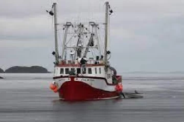 கனடாவில் மீன்பிடி படகு விபத்து;3 பேர் பலி