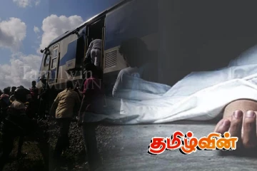 யாழில் இருந்து சென்ற தொடருந்தில் விழுந்து ஒருவர் உயிர் மாய்ப்பு