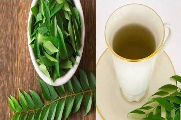 வெறும் வயிற்றில் கறிவேப்பிலை தண்ணீர் குடிங்க...உடலில் இந்த அற்புதங்கள் நிகழும்! | Health Benefits Of Drinking Curry Leaves Water