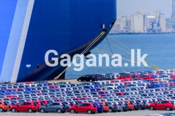 වාහන ආනයනය ගැන රජයෙන් අලුත්ම තීරණයක් - මුදල් රාජ්‍ය ඇමැතිගෙන් දැඩි ප්‍රකාශයක්..!