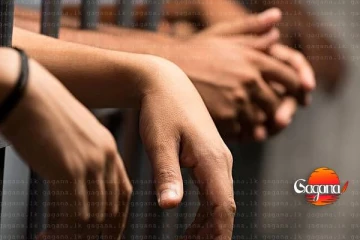 මත්කරල් අලෙවි කළ දෙදෙනෙකු කොටු