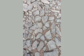 optical illusion: கற்களின் இடையே பாம்பு எங்குள்ளது? ஐந்து நொடிக்குள் முடிந்தால் கண்டுபிடியுங்கள்