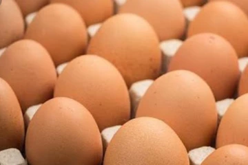 වැඩි මිලට බිත්තර විකුණූ 80කට සිදු වූ දේ..