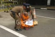 පූජ්ය බලංගොඩ කස්සප හිමි හිදිසියේම අත්අඩංගුවට.