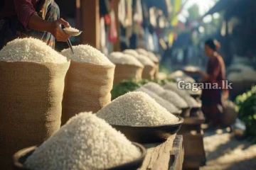 කීරි සම්බා වැඩිමිලට අලෙවිකිරීමේ ජාවාරමක් සොයා අඛණ්ඩ වැටලීම්