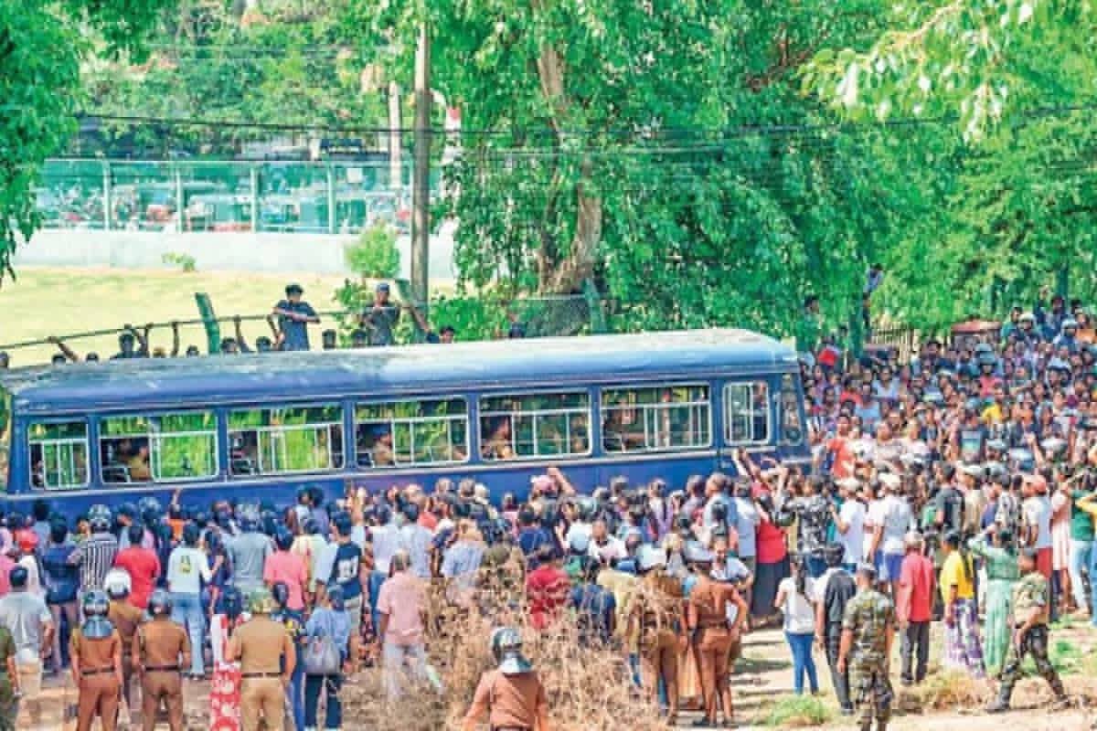 சிறைச்சாலை வன்முறை தொடர்பில் 4 நாட்களுக்கு முன்னர் எச்சரித்த புலனாய்வுத்துறை - கண்டுகொள்ளாத அரசு | Negombo Prison Riot Mp Revealed Details