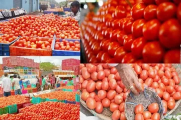 Wow... இன்று ஒரே நாளில் குறைந்த தக்காளி விலை: என்ன காரணம்ன்னு தெரியுமா?