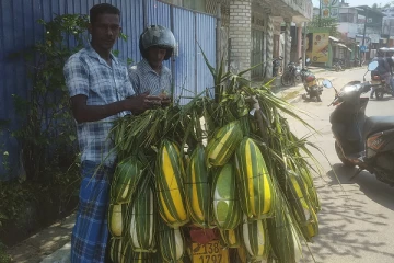 வாட்டிவதைக்கும் வெய்யில்; சூடு பிடிக்கும் வெள்ளரிப்பழ விற்பனை!