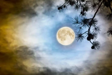 தரித்திரம் விலக பௌர்ணமியில் இதை செய்யுங்கள்