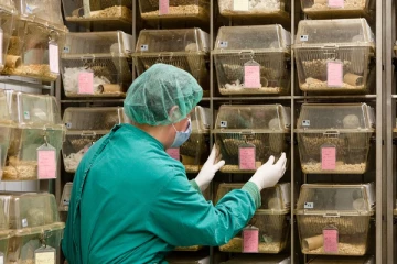 அமெரிக்காவில் கோவிட்டை பரப்பும் சட்டவிரோத எலிகள் ஆய்வுகூடம்